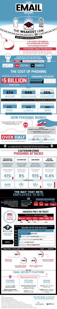 phishing infographic